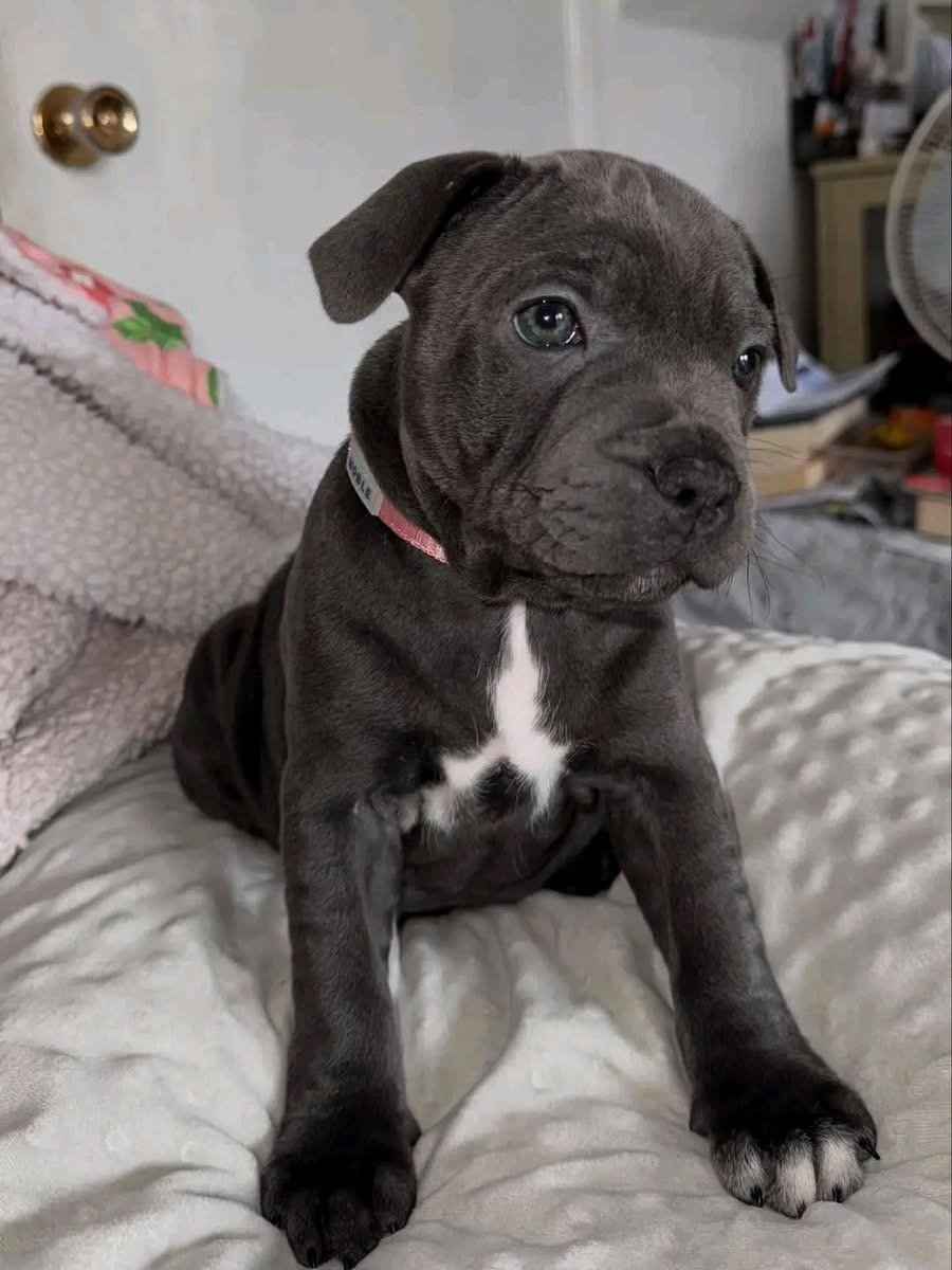 Luna